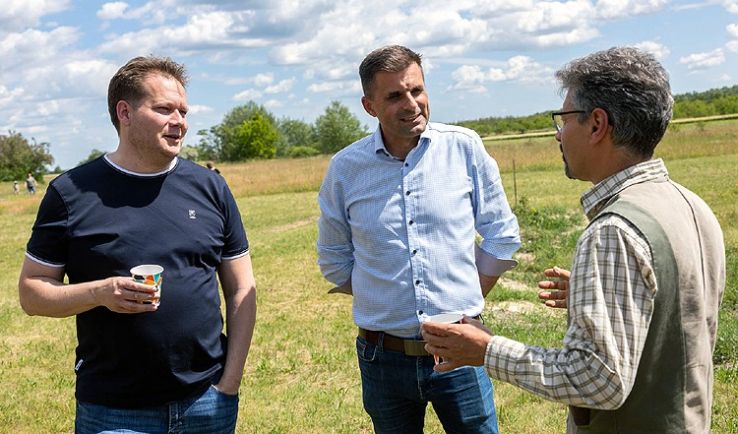 Közterületi fák örökbefogadása Borbáson