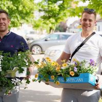 Társasházi növénytelepítés a Nyíri úton