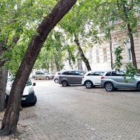 Fakivágás a Nagykőrösi utcán