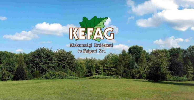 Négy évszakos fotópályázatot hirdetett a KEFAG Zrt.
