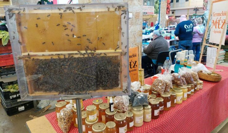 Méhek szorgoskodnak a Piaccsarnokban