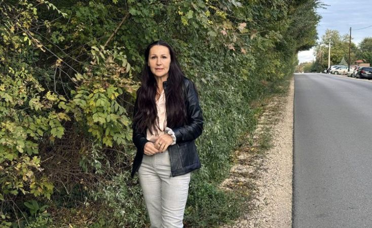 Megtisztítják a Nyíri utat az Arborétum kerítése mellett