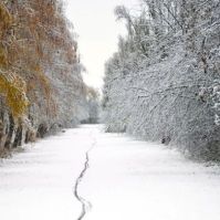 Ünnepi nyitvatartás és ingyenes parkolás a Benkó Zoltán Szabadidőközpontban