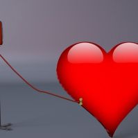 Fokozott védelem a vérkészítmények biztonságáért: az Országos Vérellátó Szolgálat továbbra is figyelemmel kíséri a Nyugat-nílusi vírust