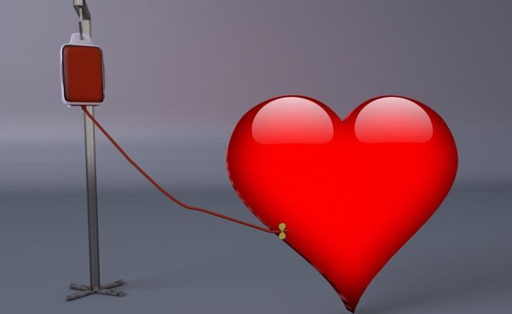 Fokozott védelem a vérkészítmények biztonságáért: az Országos Vérellátó Szolgálat továbbra is figyelemmel kíséri a Nyugat-nílusi vírust