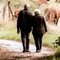 December 3-án, kedden utalják a nyugdíjakat