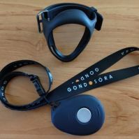 Eddig csaknem hétezer életet mentett meg a gondosóra szolgáltatás