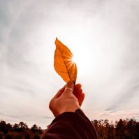 Napos-felhős, változékony őszi idő várható a jövő héten