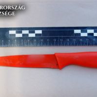 Mellkason szúrta élettársa fiát