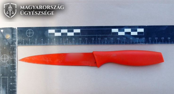 Mellkason szúrta élettársa fiát