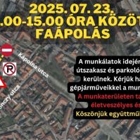 Faápolási munkálatokat végeznek a Munkácsy utcában