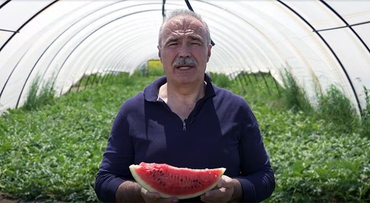 Idén korábban kezdődött a dinnyeszezon