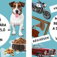 Szombaton rendezik Kecskeméten idén az első Kisállatvásárt