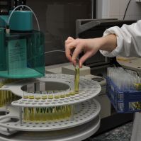 25 éves a NAV Szakértői Intézete