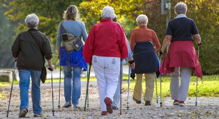 Ingyenes nordic walking oktatás Kecskeméten