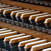 Adománygyűjtő orgonakoncert a Barátok templomában