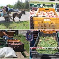 Lovaskocsi volt a tolvajok hintója