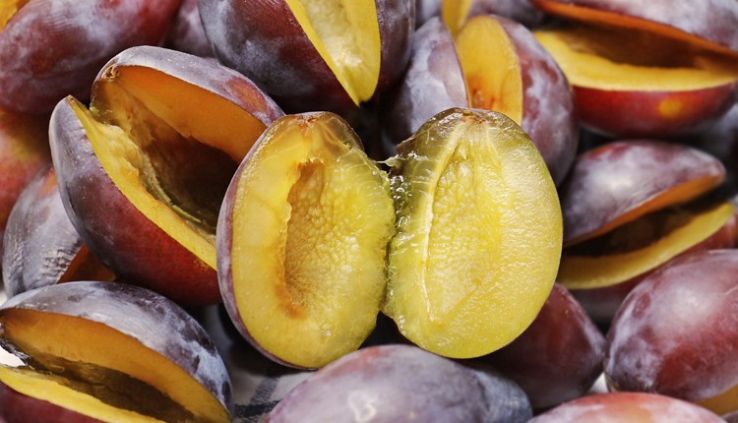 Kiegyensúlyozott termés várható idén a hazai szilvaültetvényeken