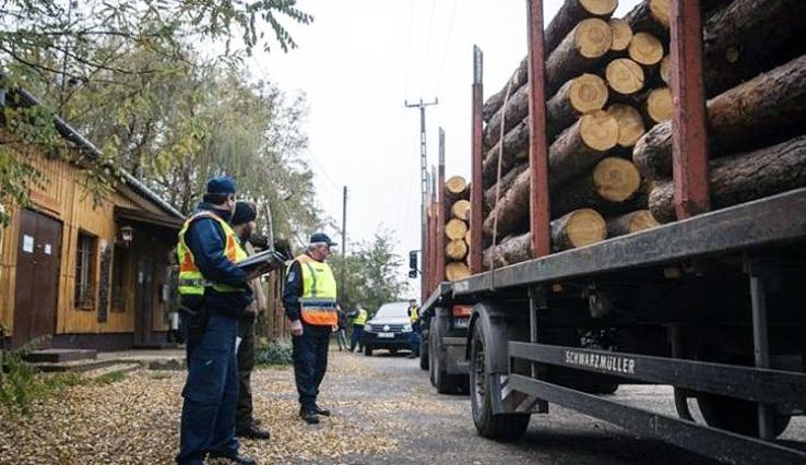Akció a fatolvajok ellen