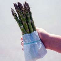 A hazai és az exportpiacokon is keresett termék a jó minőségű magyar spárga