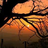 Napos, enyhe idő várható a tavasz első hetében