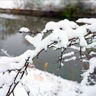 A Benkó Zoltán Szabadidőközpont decemberi nyitvatartása