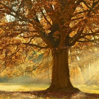 A héten is folytatódik a nyugodt, napsütéses, őszi idő