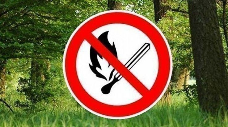 Nébih: a tűzgyújtási tilalom már csak Bács-Kiskun és Csongrád-Csanád megyére vonatkozik keddtől