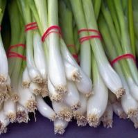 A tavasz közeledtével egyre több hazai zöldség kerül a boltokba