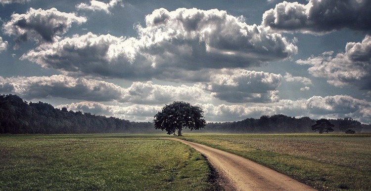 Felhős, de enyhe idő várható ezen a héten Felhős, de enyhe idő várható ezen a héten