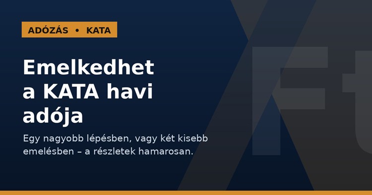 Magyar Péter: A KATA havi adóját emelni kell - akár egy lépésben jelentősen, akár két kisebb lépésben
