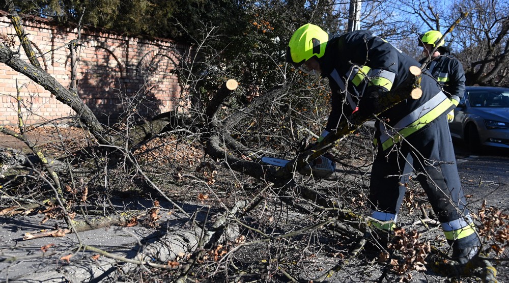Vihar - Letört faágak, kidőlt fák miatt kérték a tűzoltók segítségét