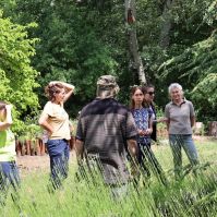 Botanikus kertek és arborétumok szakemberei találkoztak a Kecskeméti Arborétumban