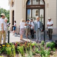 Az Entente Florale Europe zsűri üzent Kecskemétnek: Köszönjük mindenkinek, aki emlékezetessé tette ezt a látogatást