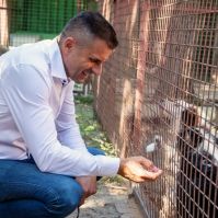 Ellenőrzik az ebrendészeti telepeket Bács-Kiskun vármegyében