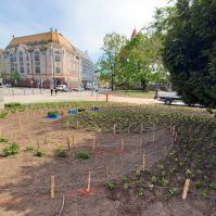 Mesebeli kert lesz a kecskeméti főtér egyik legkedvesebb zugában
