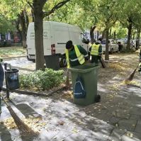 Kecskeméten is beszökött az ősz! Hullanak a közterületeken a levelek