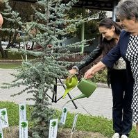 Cédrust ültettek a Szarvas téren a CédrusNet Kecskemét Program 5. éves jubileumán