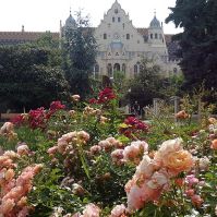 Lakossági felmérés Kecskemét zöldfelületi rendszerének fejlesztése érdekében