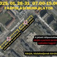 Faápolási munkálatok a Széchenyivárosban