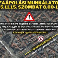 Szombaton faápolás lesz a Rákóczi úton