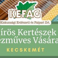 Hírös Kertészek Kézműves Vására Kecskeméten