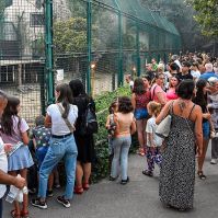 Nyári este a Kecskeméti Vadaskertben