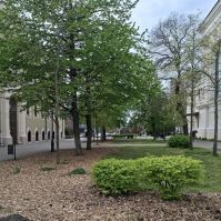 Kecskeméti Városüzemeltetési Nonprofit Kft: Fűre lépni szabad!