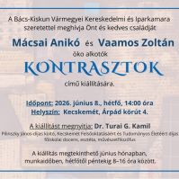 Kontrasztok címmel nyílik kiállítás az iparkamara kecskeméti székházában