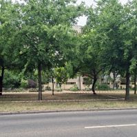 Elsivatagosodó Alföld: átalakul Kecskemét városképe a rendkívüli aszály miatt