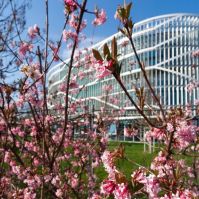 A Neumann János Egyetem töretlenül építkezik tovább!