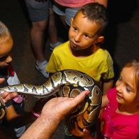 Halloweeni Bor-zoo-ngás a Kecskeméti Vadaskertben