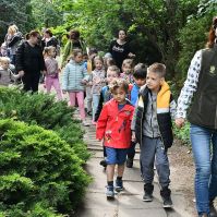 Madarak és fák napja a Kecskeméti Arborétumban
