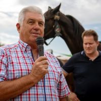 Hagyományőrző napot rendeztek Kisfáiban, szüreti felvonulással